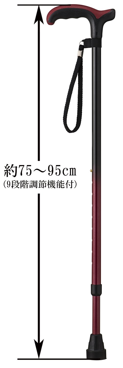 Amazon.co.jp: オッセンベルグ ドイツ製 ツートンカラーステッキ伸縮